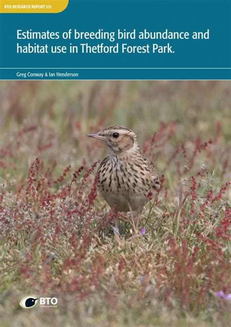 Estimates Of Breeding Bird Abundance And Habitat Use In Thetford Forest Park Bto British