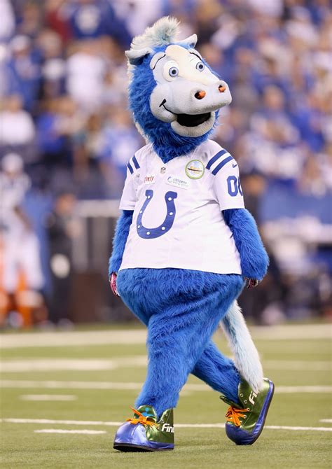Colts Mascot Blue Wins Nfl Mascot Of The Year