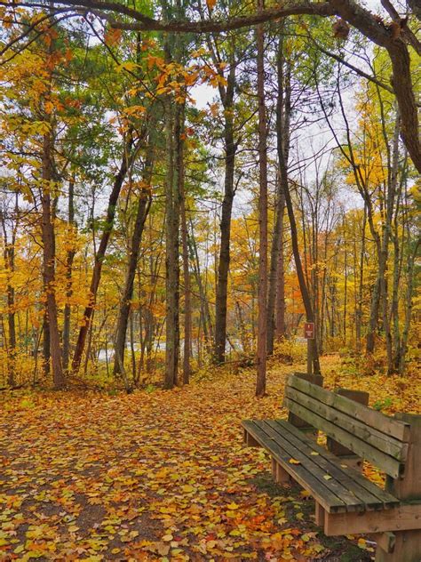 The 7 Best Places To See Fall Colors In Minnesota Hammockliving