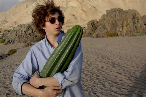 While shaggy, boorish young american jamie is traveling through chile, he invites an eccentric woman to join his group's quest to score a fabled hallucinogen, the famed san pedro cactus. 1368x912 computer wallpaper for crystal fairy and the ...