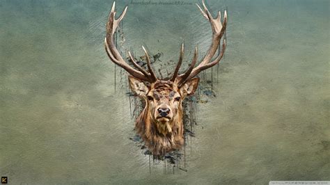 Deer Wallpapers Bigbeamng