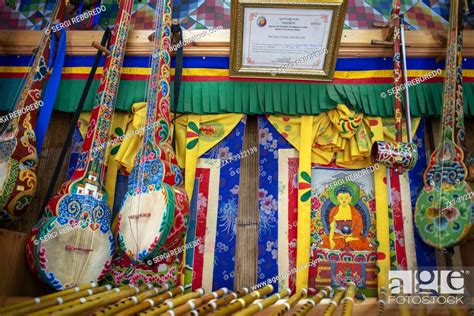 Bhutan Musical Instruments Dramyin Drangyen Guitar Handicrafts