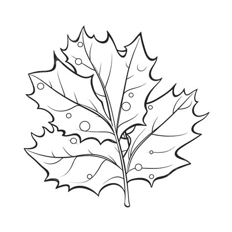 Leaf Illustration Coloring Outline Sketch Drawing Vector Holly Leaves