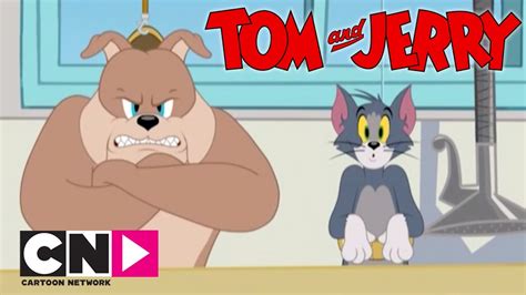 Tom And Jerry Show I Spike Ve Tom I Cartoon Network Türkiye Youtube
