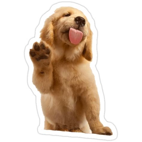Golden Retriever Stickers By Tffindlay Redbubble