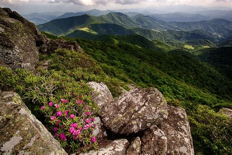 Geology And Wildlife Of The Appalachian Mountains