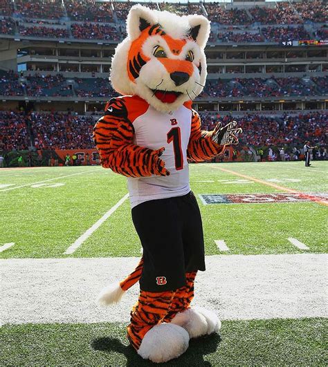 Resultado De Imagen De Mascot Who Dey — Cincinnati Bengals Mascot
