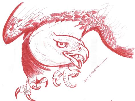 Aguila A Lapicero Rooster Drawing Animals Art Dibujo Art