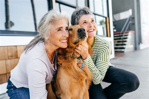 Our review of embrace found that the. Should You Invest in Pet Insurance? | BestMoney.com