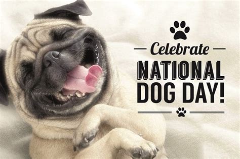 See more ideas about happy national day, happy, live happy. Hyperion & Chill | National Dog Day - Unleash Jacksonville