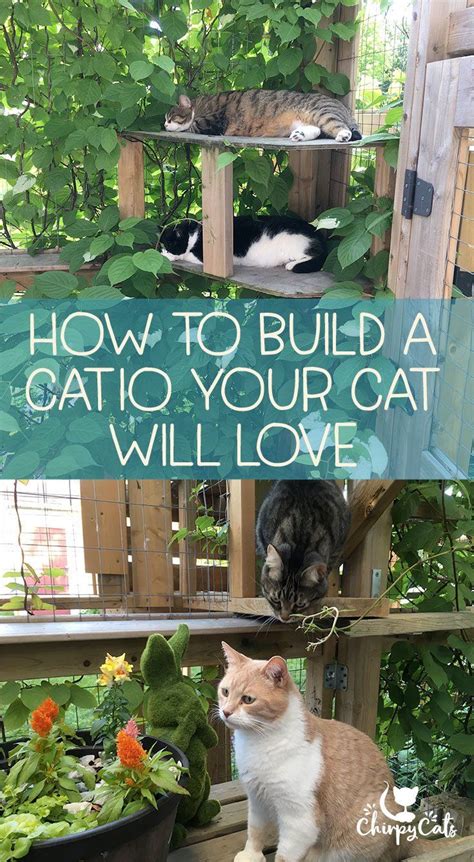 How To Build A Catio Your Cat Will Love Cat Patio Outdoor Cat