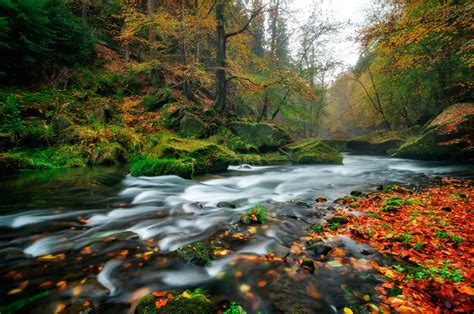 Rainy Autumn River At Edmund Gorge Of Bohemian Switzerland National