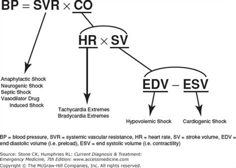 Shock Anesthesia Key Septic Shock Cardiogenic Shock Shock