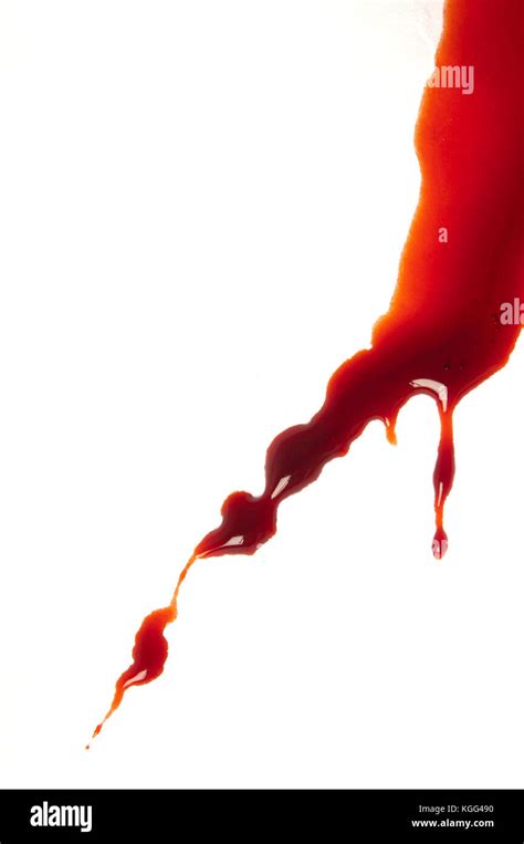 Blood Splatter On White Stock Photo Alamy