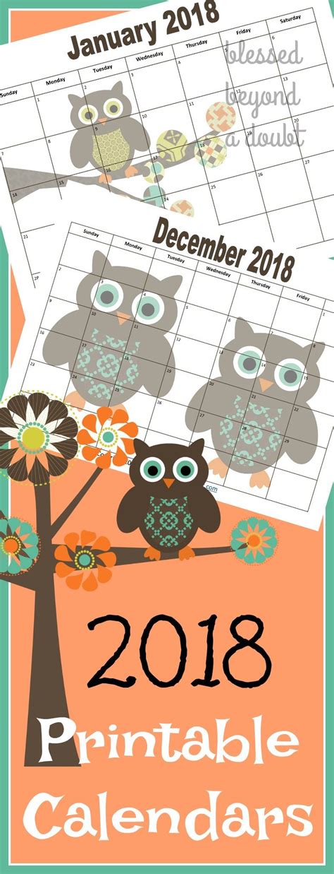 The Printable Calendar For January And December Is Shown With Owls