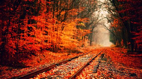 Fall Computer Backgrounds 76 Images