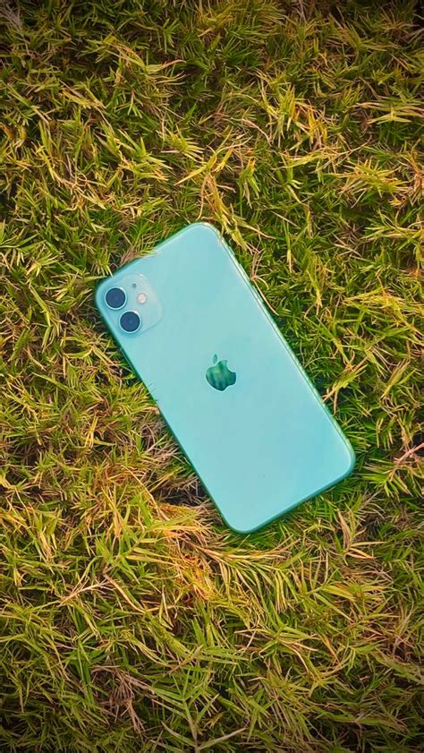 Apple Iphone 11 Green Colour Wallpaper Green Wallpaper Colorful