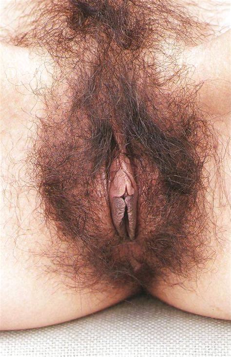 Female Hairy Vagina Datawav