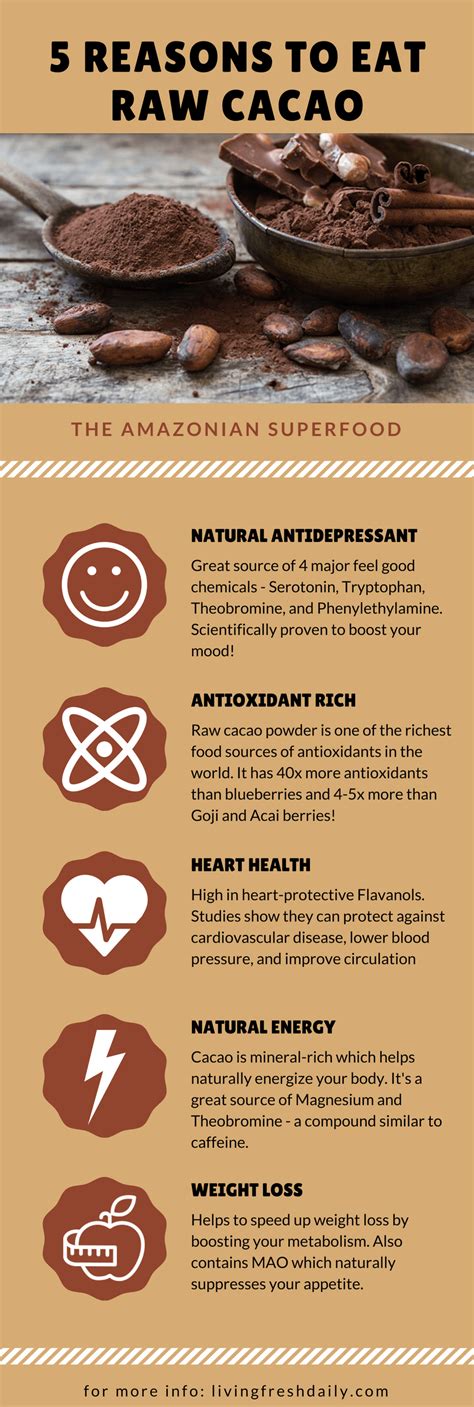 Raw Cacao Benefits 5 Reasons You Need To Be Eating This Superfood Living Fresh Daily Cacao