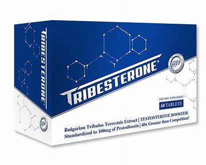 Pharmaceuticals Tech Hi Supplement Testosterone Dietary Booster