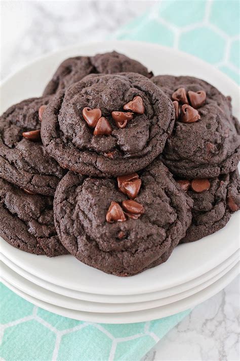 Fudgy Double Chocolate Cookies 19 Decadent Chocolate Recipes The