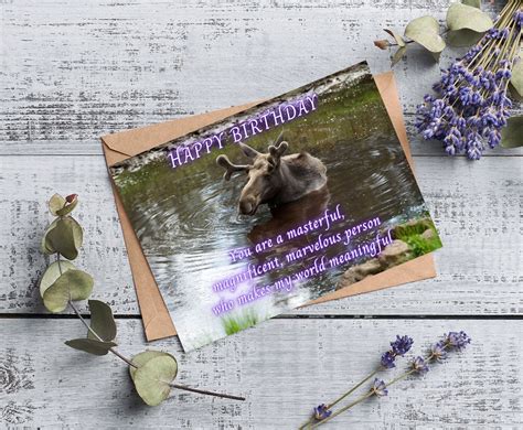 Moose Birthday Card Lara De Ann