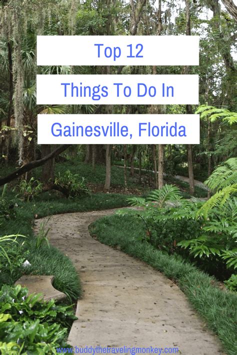Visit putrajaya botanical garden and moroccan pavilion. Top 12 Things To Do In Gainesville, Florida | Buddy The ...