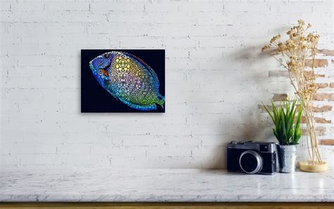 Tropical Fish Art 6 Painting By Sharon Cummings Canvas Print Canvas