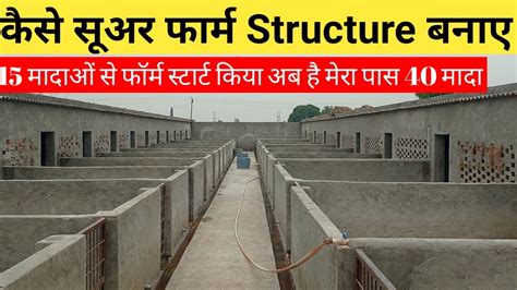 Piggery Farm Design L Pig Farm Structure Designpig Farming Structure