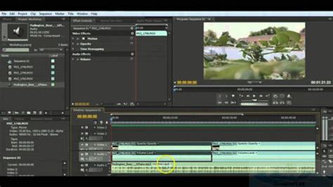 When you're getting into text effects and animations, workspace is important. Adobe Premiere Pro CS4 Download Free - Get Into PC