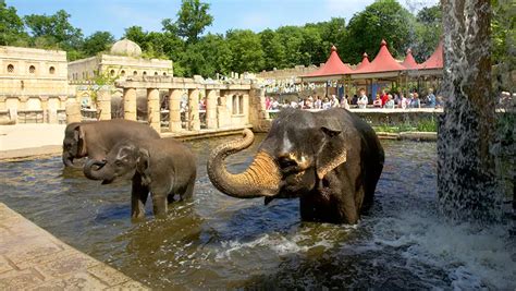 Zoo Besuch Mit Übernachtung 5 Angebote Für Unter 60 Euro