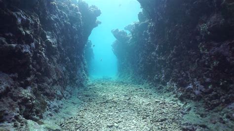 Moving In A Natural Trench Underwater Carved Into The Seafloor On The