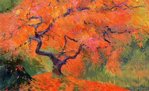 Japanese Maple Tree Painting By Judith Barath Fine Art America