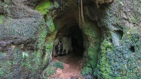 Cidade Brasileira Apaixonante Descobre Abrigo De Pregui A Gigante De