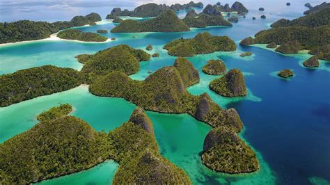 West Papua Raja Ampat Scuba Diving — Dive Adventures