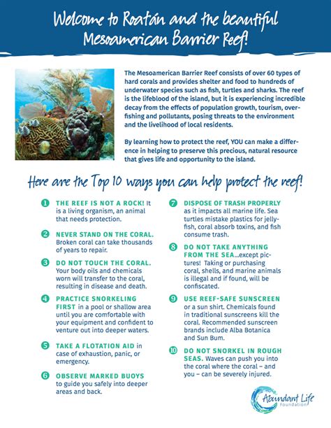 10 Ways To Protect The Reef Abundant Life Foundation