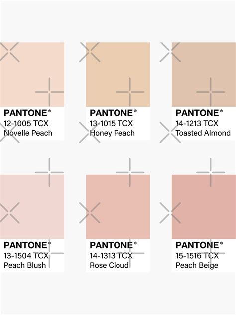 Nude Pink Pantone Color Swatch Pack Sticker By Jadeillustrates My XXX
