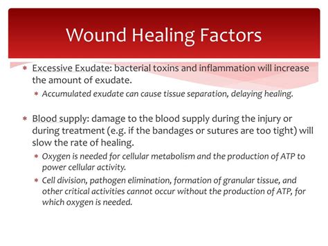 Ppt Wound Repair Powerpoint Presentation Free Download Id2621289