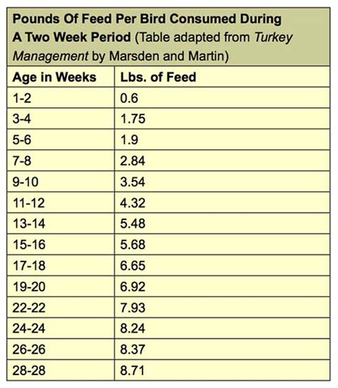 Weight of average turkey / time chart • how to cook a turkey breast • loaves and dishes. Raising Turkeys: How to Raise Turkeys for Meat and Profit