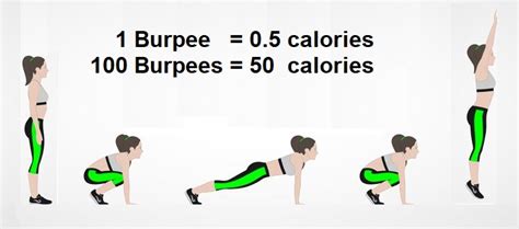 Quantas Calorias Se Queima Ao Fazer Burpees Calculadora Online