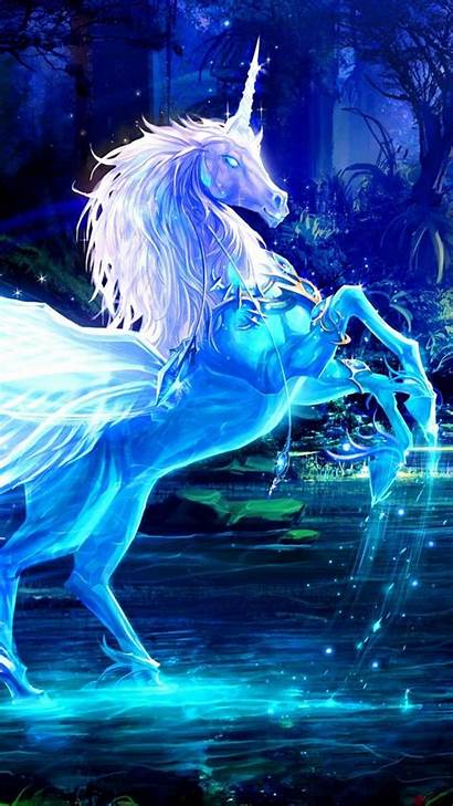 Unicorn Magic Night Forest Water Backgrounds Fantasy