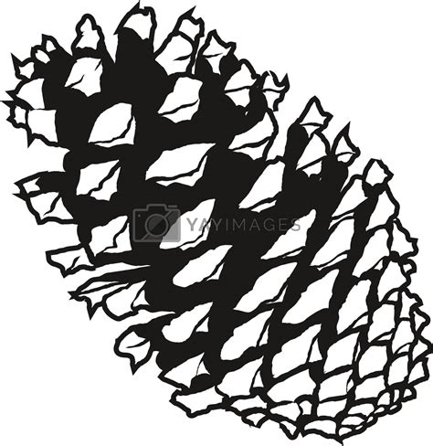 Pinecone Silhouette Vector By Lhfgraphics Vectors And Illustrations With