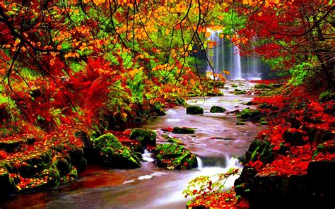 Download Autumn River Wallpaper Full Hd Autumn River