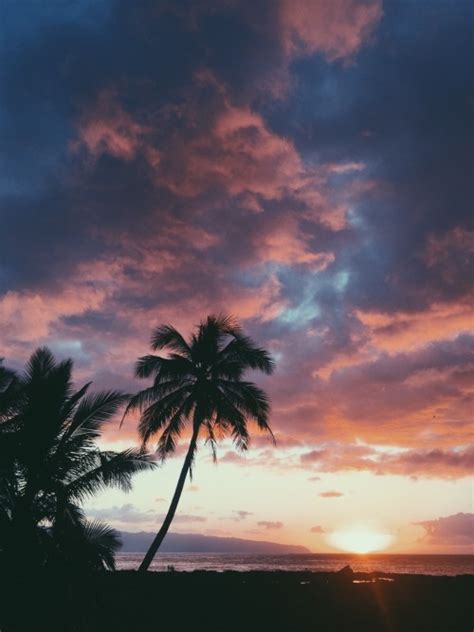 hawaii on Tumblr