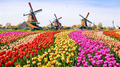 Best Time To Visit The Netherlands Lonely Planet