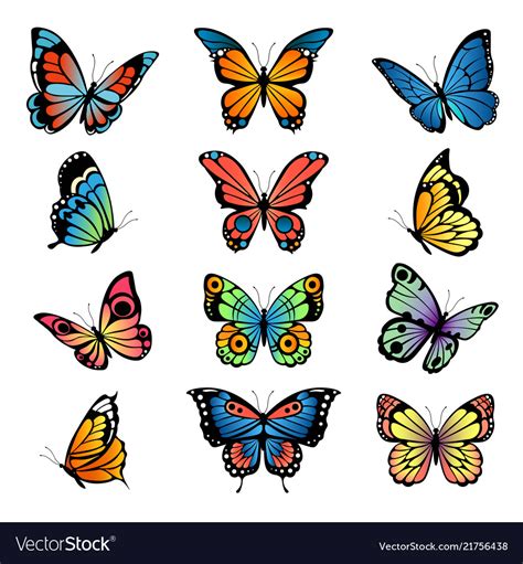 Various Cartoon Butterflies Set Royalty Free Vector Image