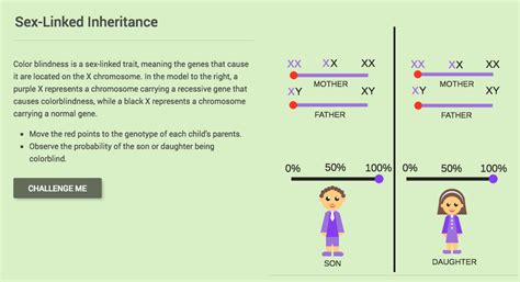 Sex Linked Inheritance Interactive For 6th 8th Grade Lesson Planet Free Download Nude Photo