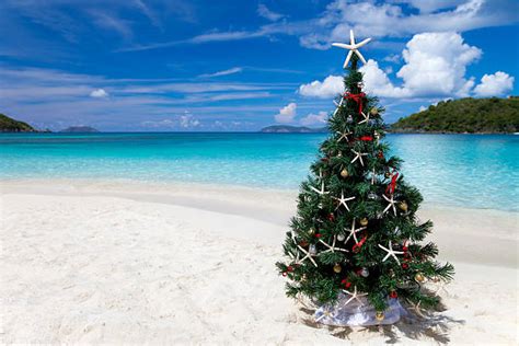 Royalty Free Caribbean Christmas Pictures Images And Stock Photos Istock