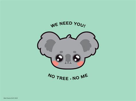 So Adorable So Innocent So Vulnerable You Can Help Save The Koalas