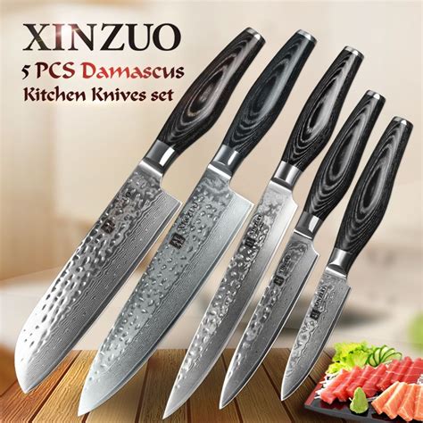 Xinzuo 5 Pcs Kitchen Knives Set Damascus Kitchen Knife Japanese Vg10